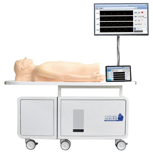 Cardiology Patient Simulator "K", ver 2