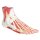 Anatomy of the Foot, 9 parts
