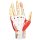 Regional anatomy of the hand, 7 parts