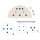 Breast biopsy model (Set)