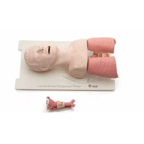 Airway Management Trainer