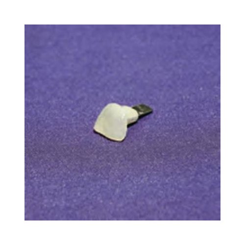 Toe nail, ringworm, 20 pcs set