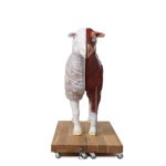 Sheep model, 12 parts, 2/3 life size