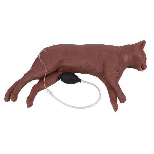 Katzen-HLW-Puppe "CaPpeR"