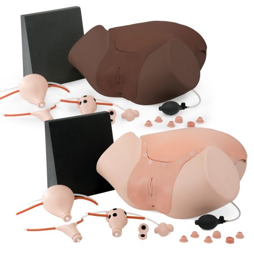 Gynecologic Skills Trainer P91
