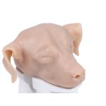 Hunde Otoskopiesimulator