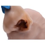 Hunde Otoskopiesimulator