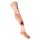 Leg with open fracture Task Trainer