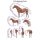 Chart "The equine musculature"