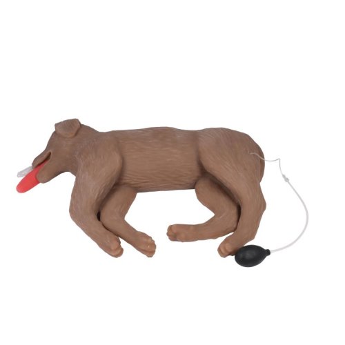 HLW Hund CooPeR