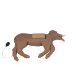 HLW Hund CooPeR