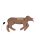 HLW Hund CooPeR