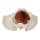 Female pelvic floor model, 12 parts, magnetic