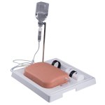 SONOtrain Ultraschall Venenmodell