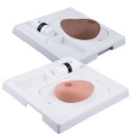 SONOtrain Breast model with cysts