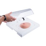 SONOtrain Breast model with cysts