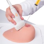 SONOtrain Breast model with cysts