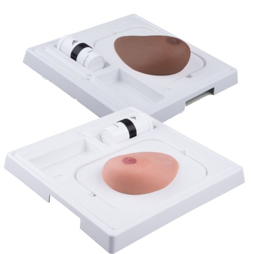 SONOtrain Breast model with tumours