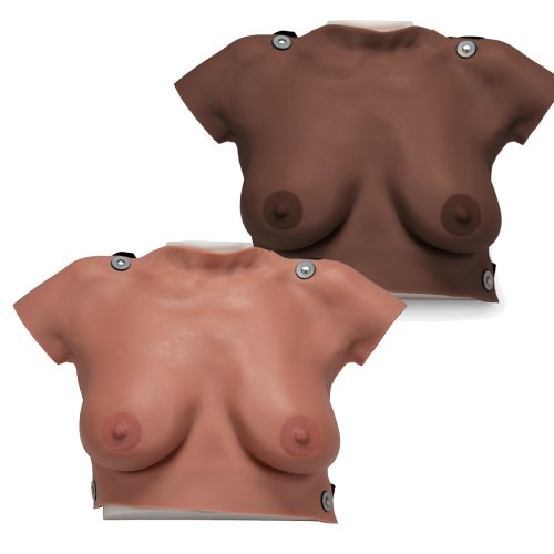 Brust-Tastmodell zum Umhängen