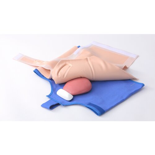 Puerperal Uterus Palpation Training Model