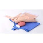 Puerperal Uterus Palpation Training Model