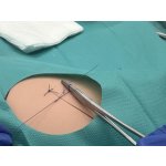 Skin Suture Trainer - light