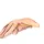 3D dog hindlimb model