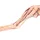 3D dog hindlimb model