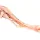 3D dog hindlimb model