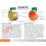 4-Piece Diabetes