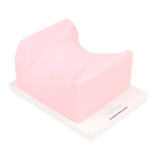SonoEZ Ultraschalltrainer "Schilddrüse"