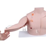 Vascular Victor - Port und ZVK Trainer