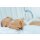 NEMO Premium High End Neonatal Simulation Manikin