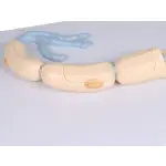 Neuron, 3000 times size, 2-part