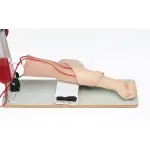 Injection practice arm
