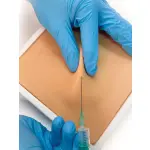 Kleintier Subkutaner Punktionstrainer