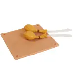 Simulator Hundekastrationen Ersatzteile