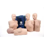 Prestan HLW-Torso weiblich mit Leuchtanzeige