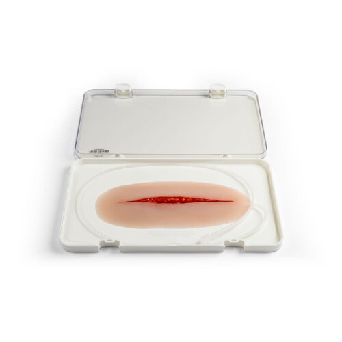Wound moulage protruding small intestines