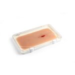 Wound moulage protruding small intestines