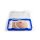 Wound moulage protruding small intestines