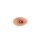 Wound moulage protruding small intestines