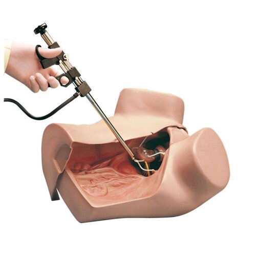 ZOE Gynäkologischer Simulator