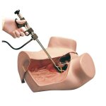 ZOE Gyn&auml;kologischer Simulator
