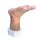 Base Model Two-Toed Foot with 6 Wounds - clean wound