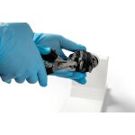 Canine claw trimming paw