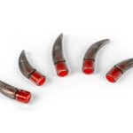 Canine claw trimming paw