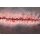 Stick-On Medium Surgical Wound with Inflamed Wound Dehiscence - clean wound