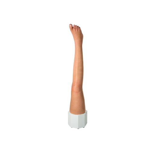Base Model Leg without Wounds