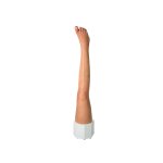 Base Model Leg without Wounds